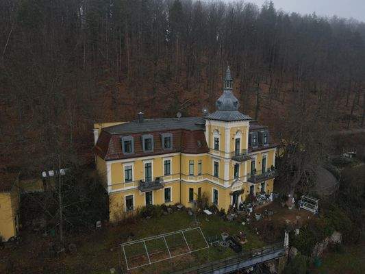 Drohne, Vorderansicht