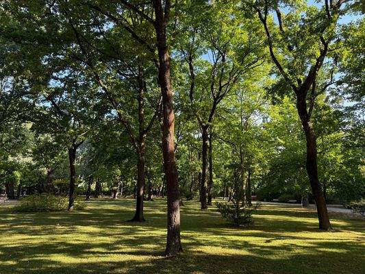 Schloßgarten Erlangen