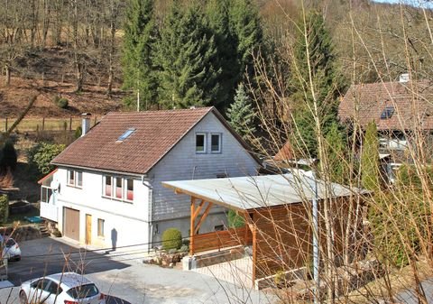 Schleusegrund Häuser, Schleusegrund Haus kaufen