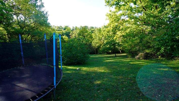 Blick mittlerer Teil des Grundstücks