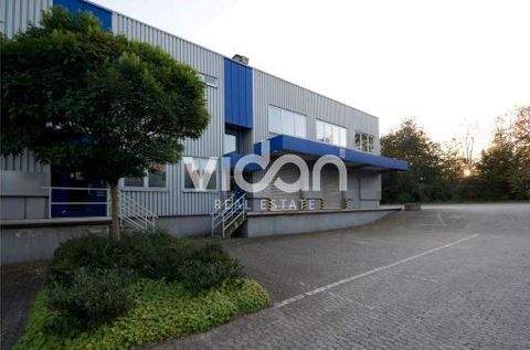 Köln Halle, Köln Hallenfläche