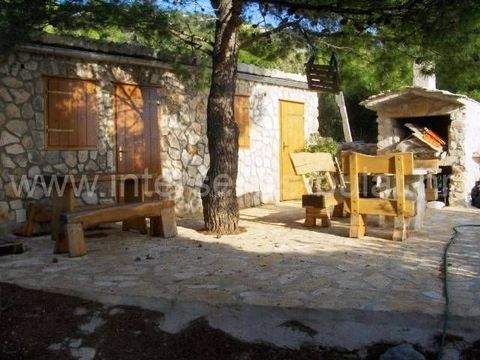 Murter-Kornati Bauernhöfe, Landwirtschaft, Murter-Kornati Forstwirtschaft