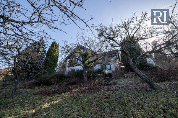 Blick auf den Garten und das Haus 