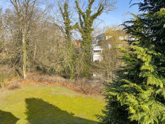 Blick ins Grüne aus dem Wohn und Essbereich 