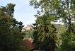 Blick vom Wintergarten 