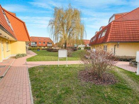 Belgershain Wohnungen, Belgershain Wohnung kaufen