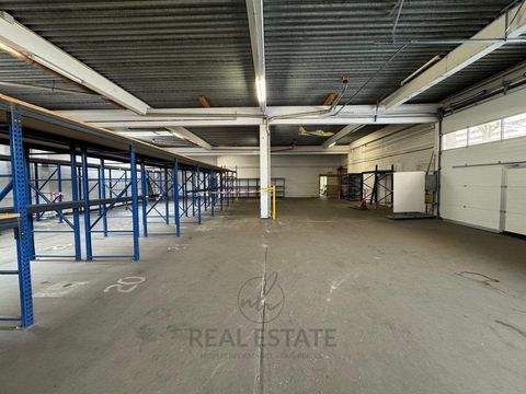 Barsbüttel Halle, Barsbüttel Hallenfläche