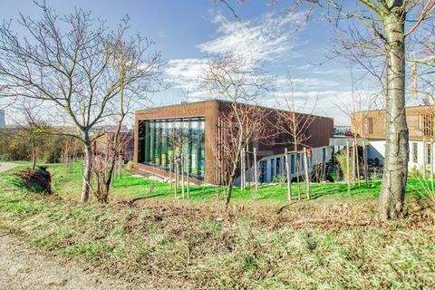 Neckarsulm Büros, Büroräume, Büroflächen 