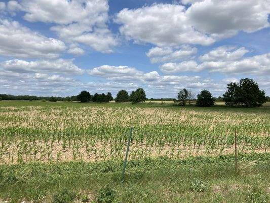 20250619_115914623_iOS