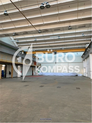 Hallenansicht 217 (2)