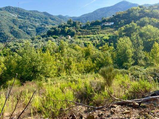 PE982_10 TERRA ITALIA IMMOBILIEN_TERRA ITALIA IMMO