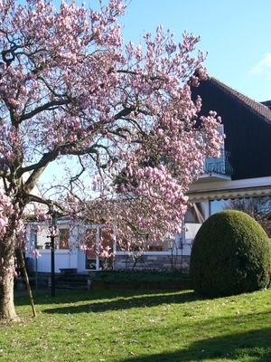 Hausansicht Gartenseite