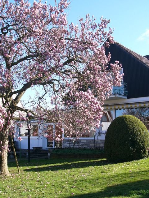 Bietigheim-Bissingen Häuser, Bietigheim-Bissingen Haus mieten 