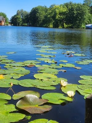 unmittelbar am Bootshaus