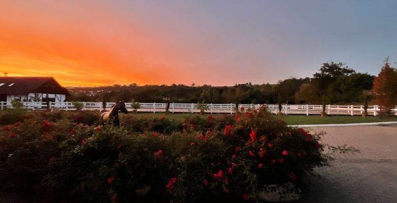 Anwesen mit Sonnenuntergang