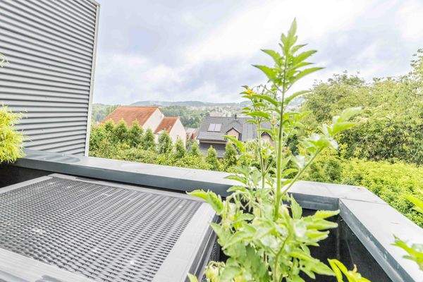 28 juillet 2025-09365C9A8865.jpg