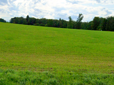 Andechs Bauernhöfe, Landwirtschaft, Andechs Forstwirtschaft