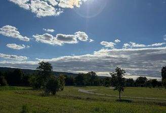 WhatsApp Image 2026-03-09 at 09.29.01.jpeg