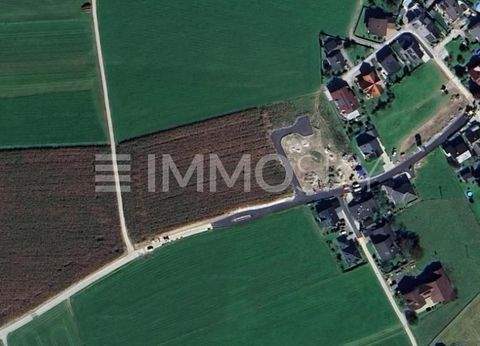 Sankt Georgen bei Salzburg Grundstücke, Sankt Georgen bei Salzburg Grundstück kaufen