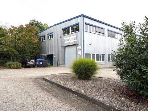 Reutlingen Halle, Reutlingen Hallenfläche