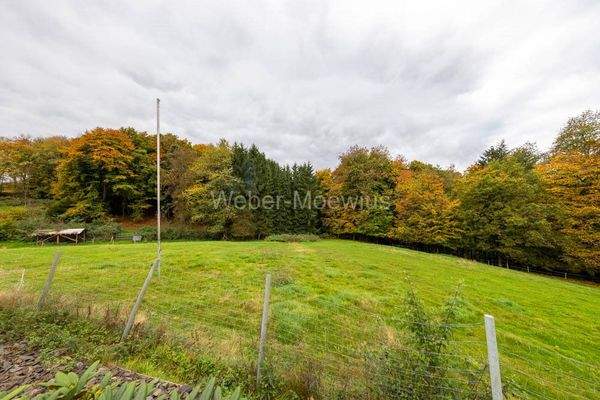 3444 zusätzlich erwerbbare Wiesen- + Waldfläche b