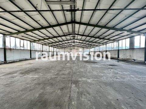 Solingen Halle, Solingen Hallenfläche