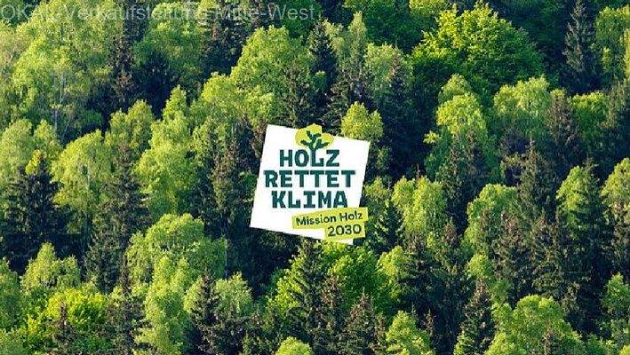 Holz rettet Klima