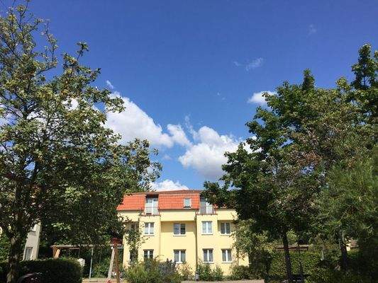 Backyard_with_playground