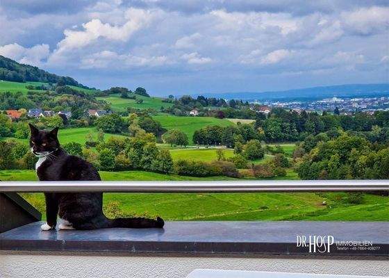 Blick zum Schönberg und Freiburg.jpg
