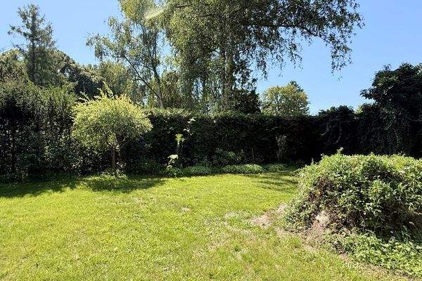 Freifläche im Garten