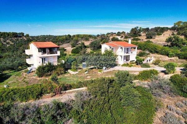 43509e99bde54ef0ad1d16c03e45d00d-original