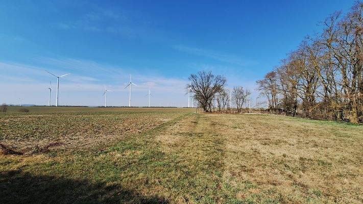 Ausblick vom Grundstück