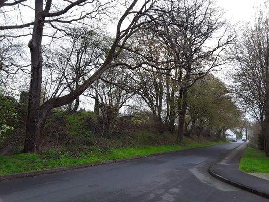 Ansicht auf Grundstück (1)