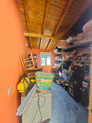 photo1696515544 (3).jpeg