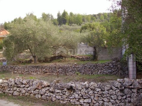 Korcula center Bauernhöfe, Landwirtschaft, Korcula center Forstwirtschaft