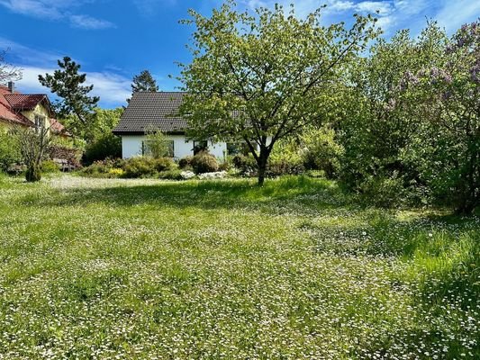 Ansicht Haus von der Gartenseite