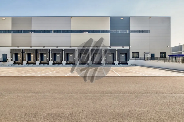 INFOS UNTER: 06171-586000