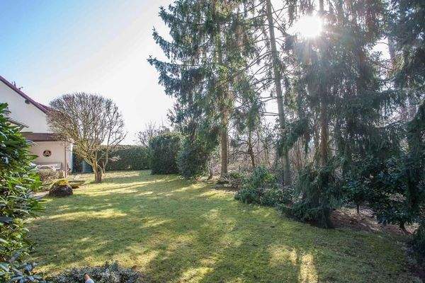 Großzügiger Garten