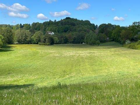 Pleystein / Miesbrunn Bauernhöfe, Landwirtschaft, Pleystein / Miesbrunn Forstwirtschaft