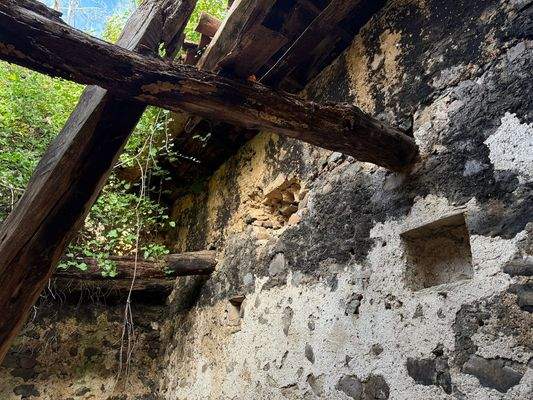 B5DE13F0-B8F5-4F5C-B118-D26BC43281C4_1_102_o