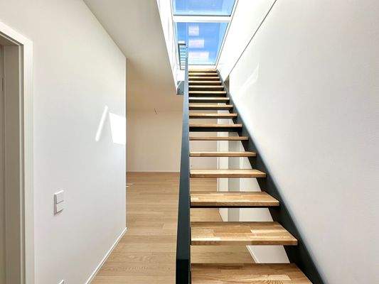 Dachausstieg zum Dachgarten