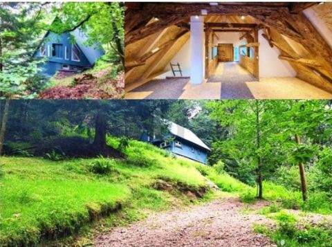 Lauterbach Häuser, Lauterbach Haus kaufen