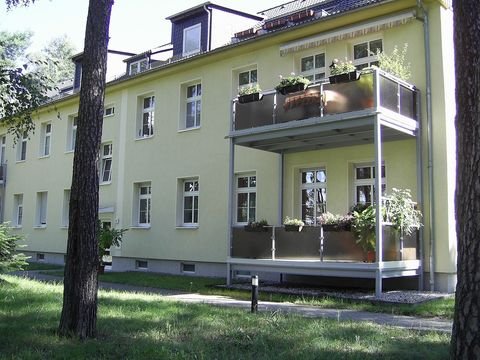 Dessau-Roßlau Wohnungen, Dessau-Roßlau Wohnung mieten