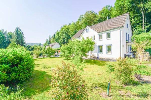 Gartenfläche Ansicht 2