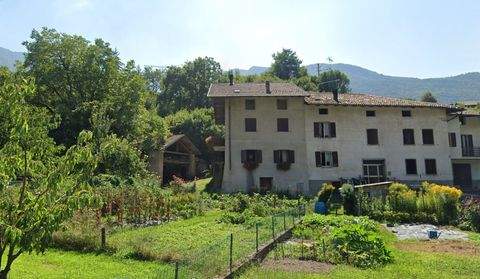 Drena Häuser, Drena Haus kaufen