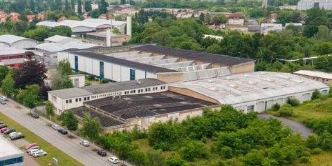 Radebeul Halle, Radebeul Hallenfläche