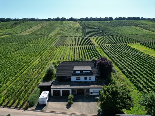 Lage in den Weinbergen