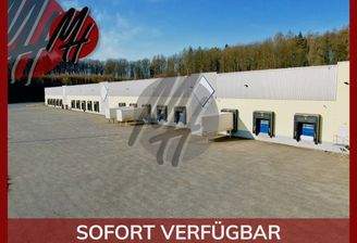 INFOS UNTER: 06171-586000