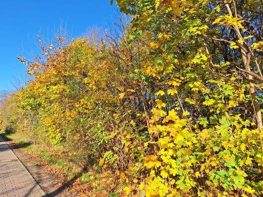 Blick auf das Grundstück