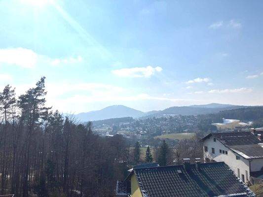 PHOTO-2025-02-19-13-19-15 (15).jpg